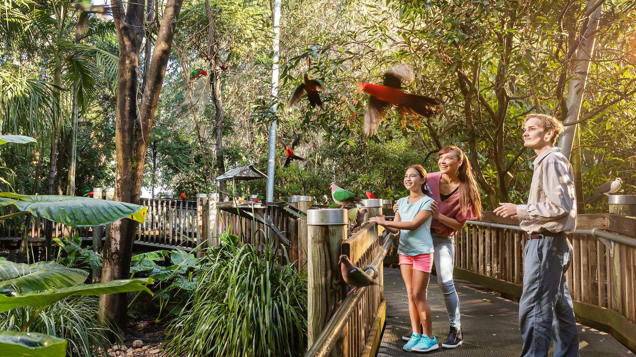 Take a walk through Queens Park in the city of Ipswich Discover Ipswich