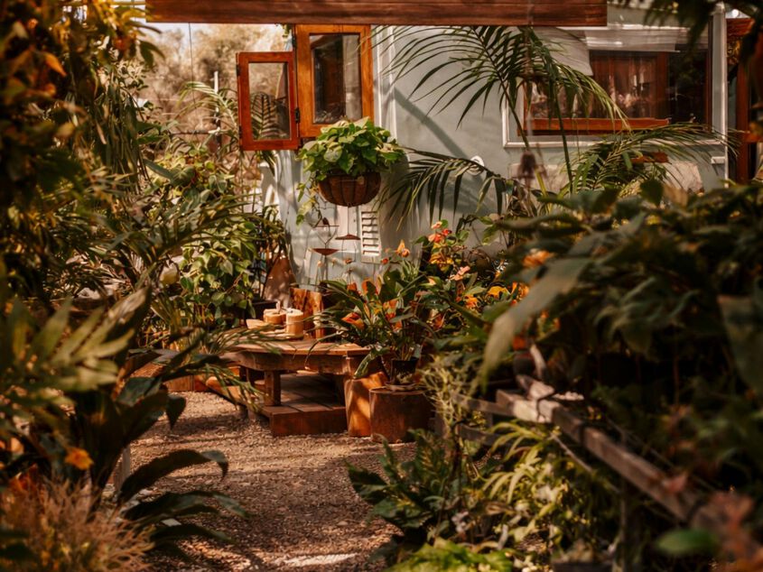 Autumn Affair at Trevallan