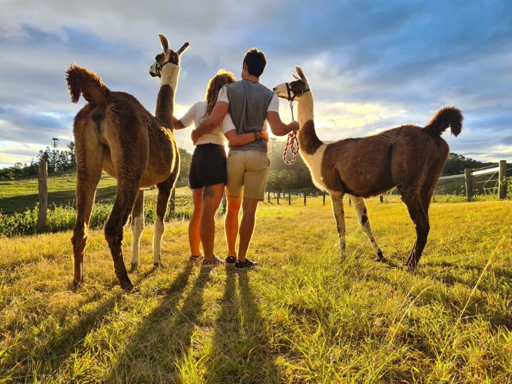 The Llama Farm guided walk