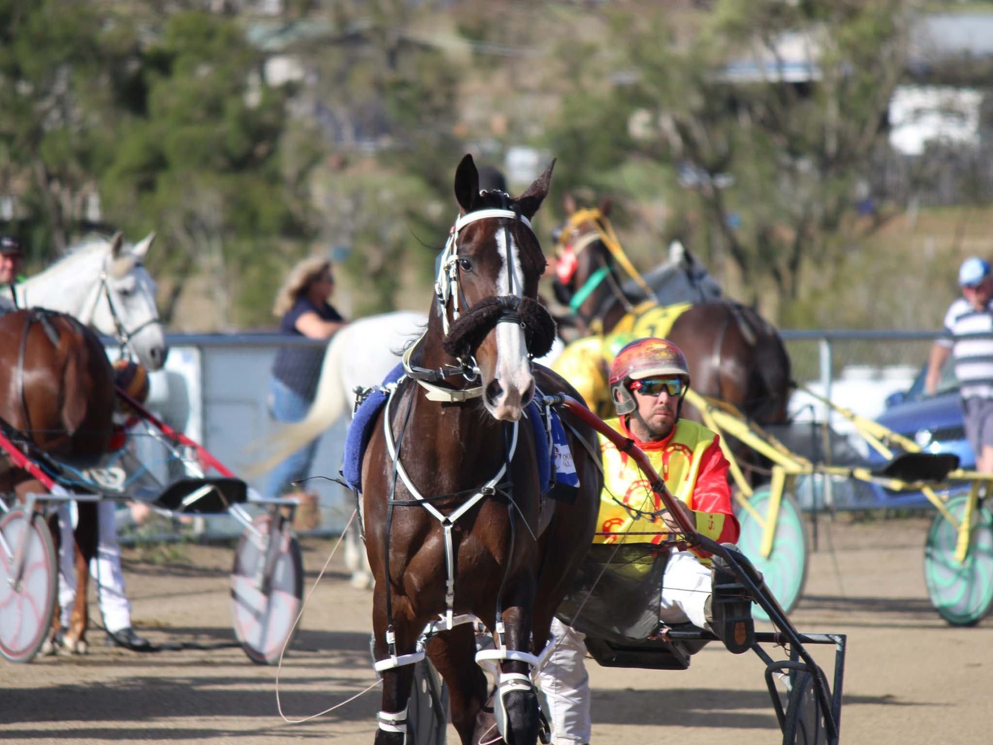 Marburg Pacing Association