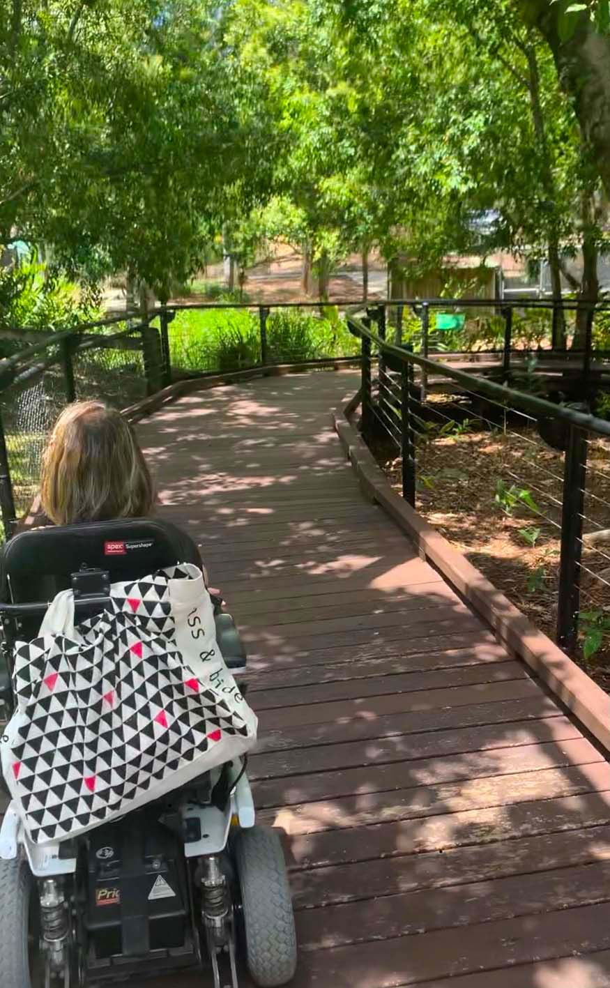 Boardwalks make visiting the Ipswich Nature Centre accessible for all