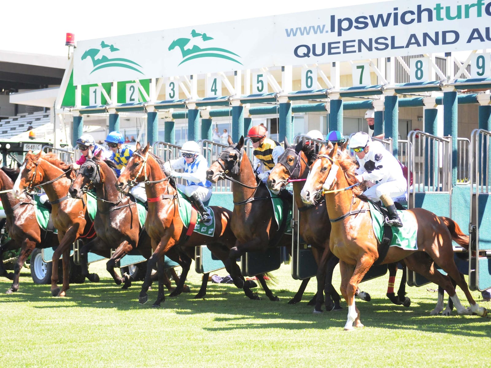 Races at Ipswich