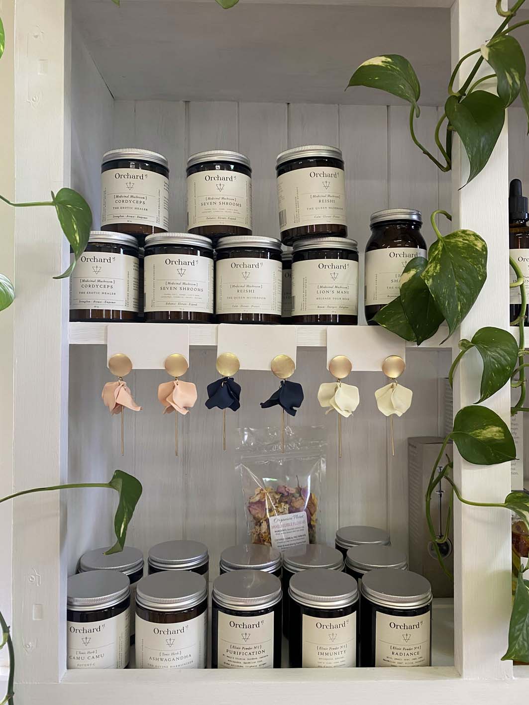 The Soul Nook Collective The Soul Nook Collective