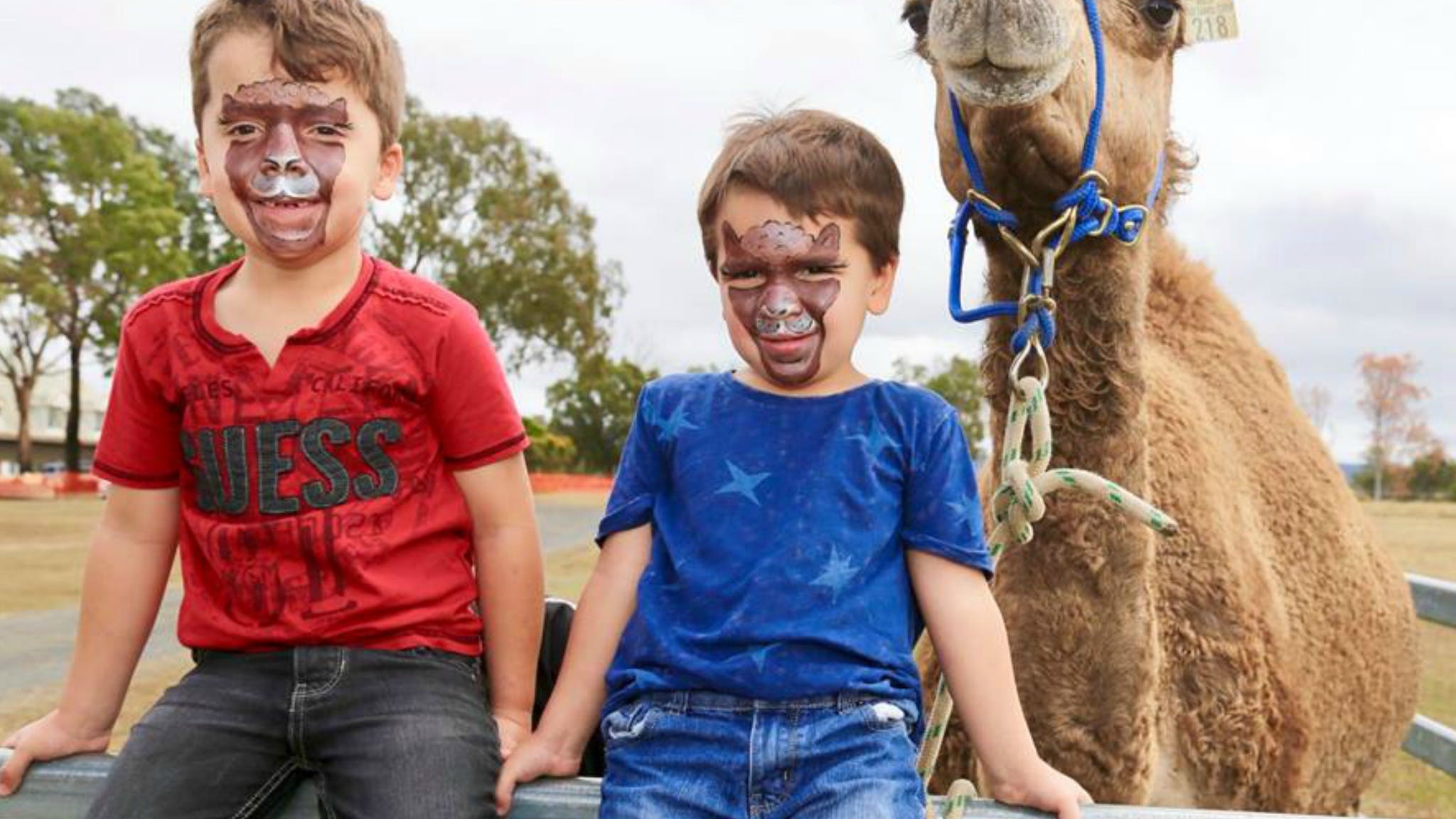 Summer Land Camels Summer Land Camels