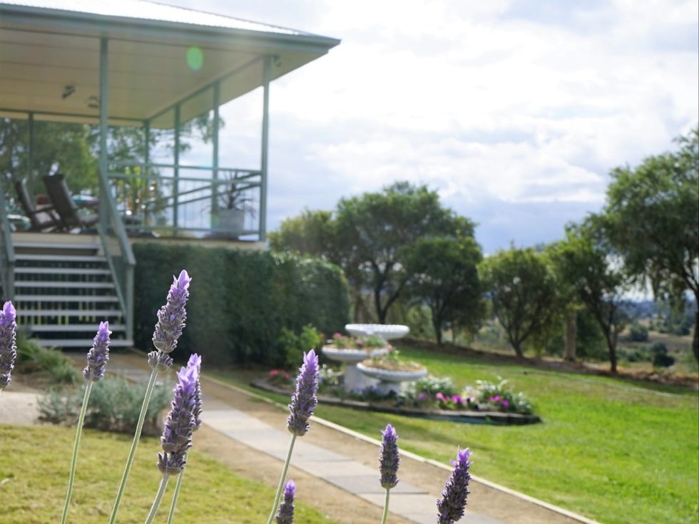 Families Discover Ipswich