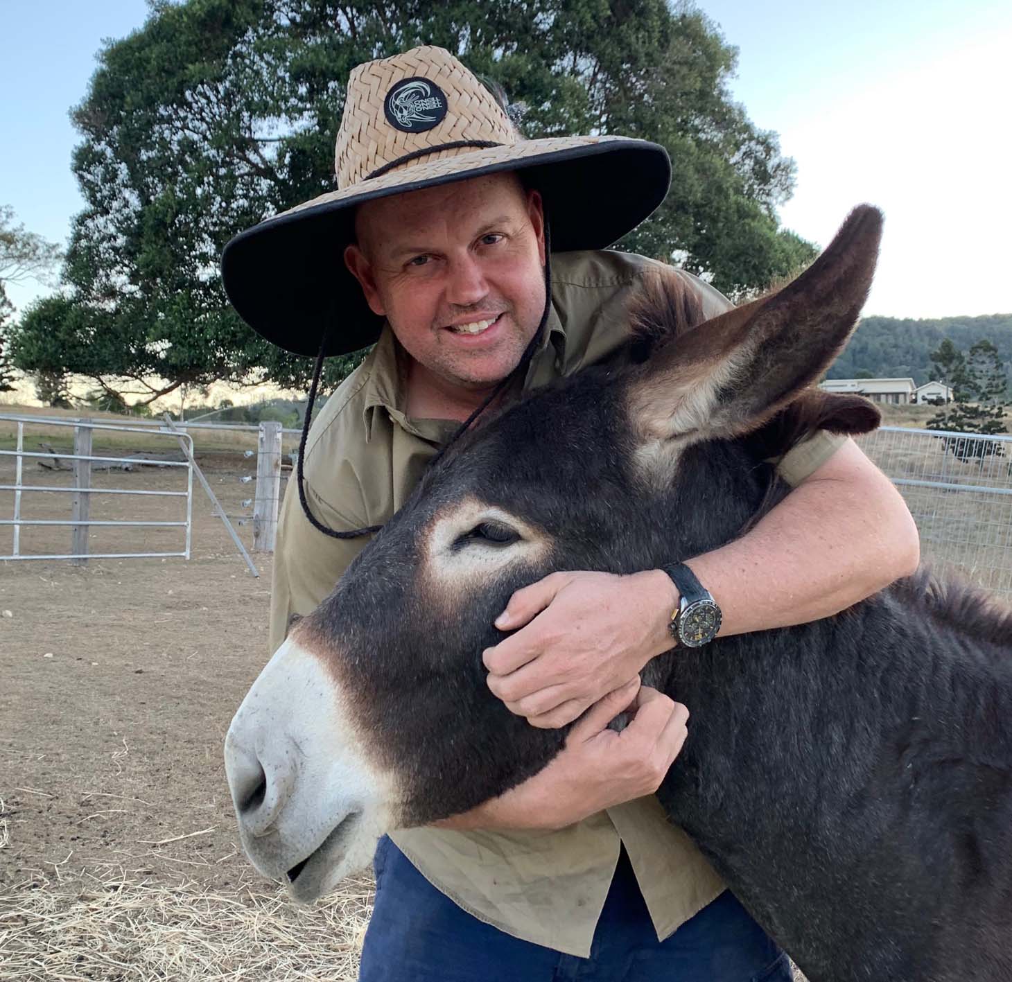 Shane Hancock at the Llama Farm