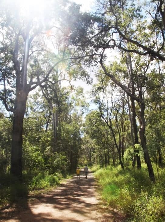 White-Rock-Hike-Ipswich